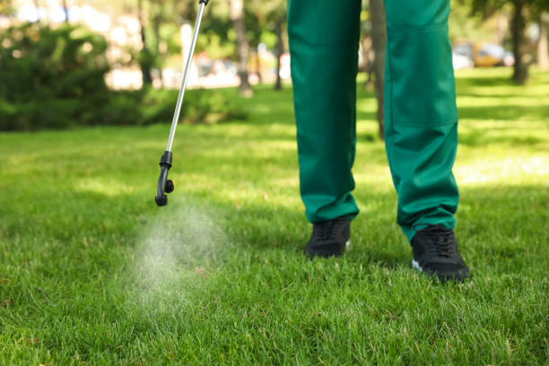 Best Pest Removal Services  in Minneota, MN