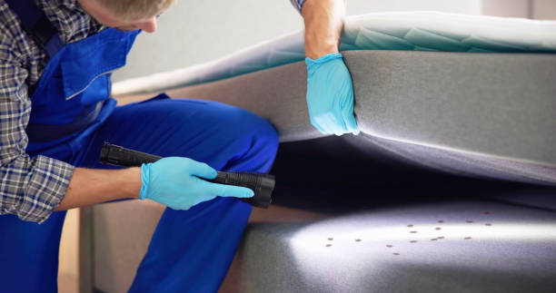 Best Mosquito Control Services  in Minneota, MN