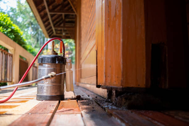 Best Termite Control Services  in Minneota, MN