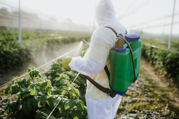 Best Pest Prevention Services  in Minneota, MN